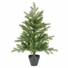 Clearance Tannenbaum GRANDIS Weihnachtsbäume
