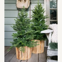 Clearance Tannenbaum GRANDIS Weihnachtsbäume