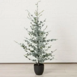 Outlet Tannenbaum KIEFER Weihnachtsbäume