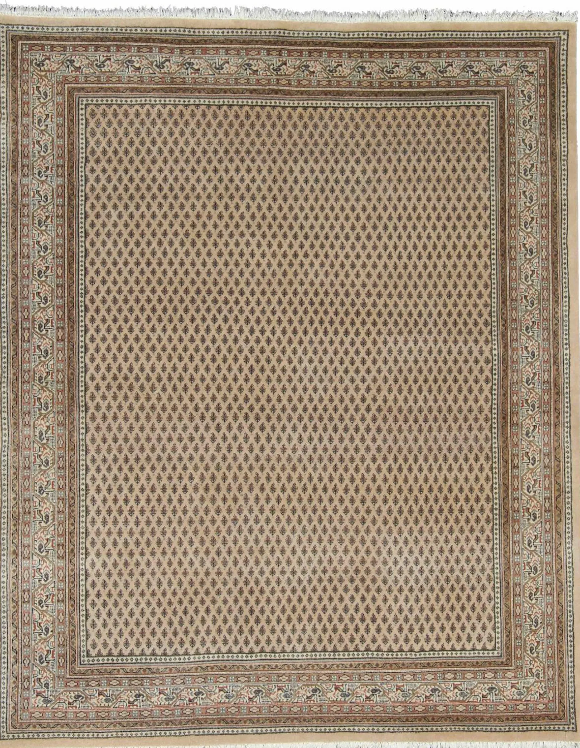 New Teppich MIR PLAIN Klassische Orientteppiche|Teppiche