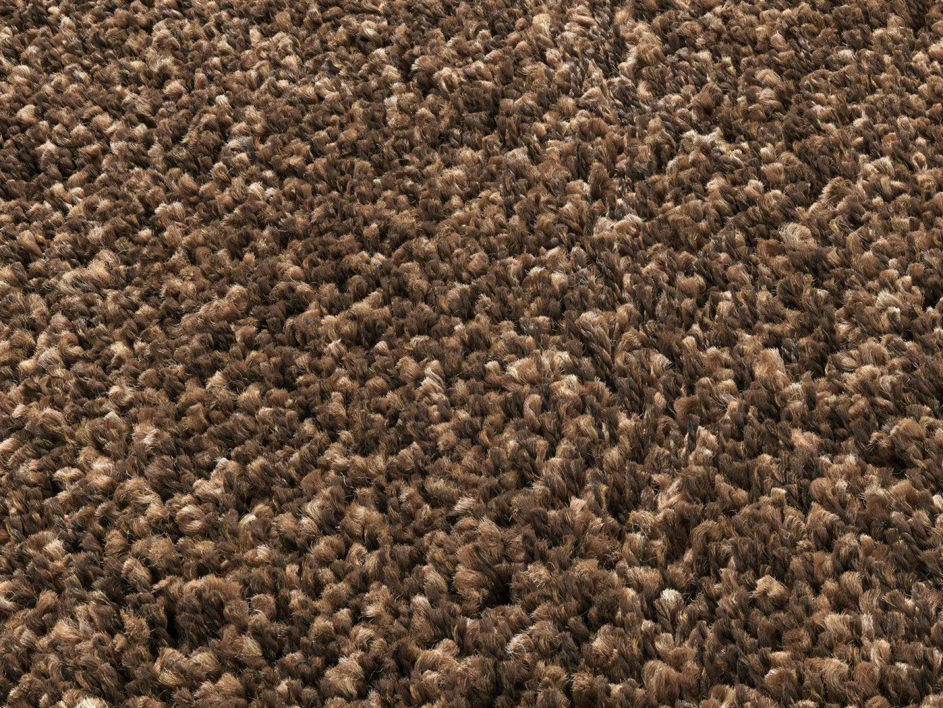 Clearance Teppich PHOENIX braun Langflor Teppiche