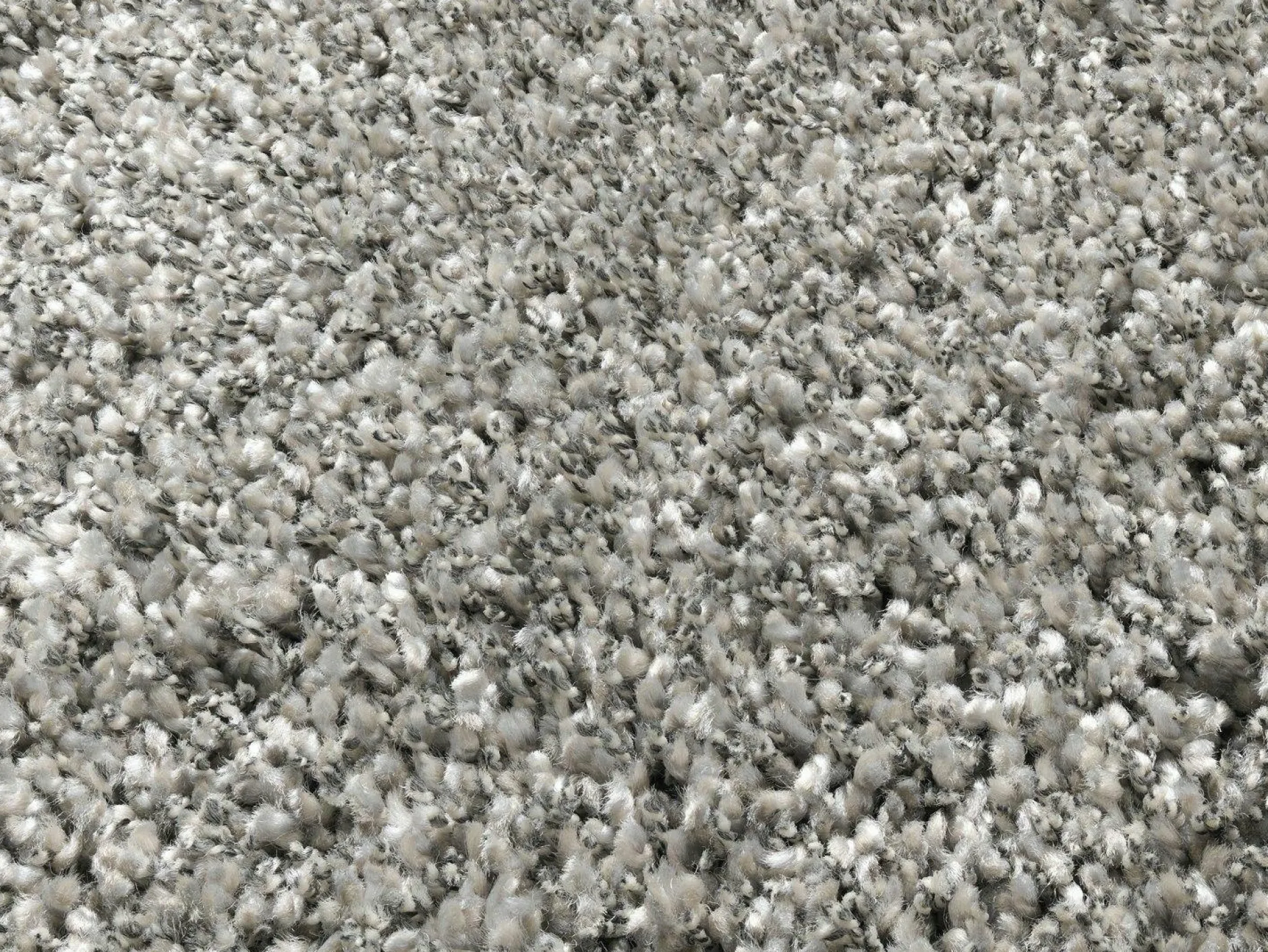 Online Teppich PHOENIX grau Langflor Teppiche