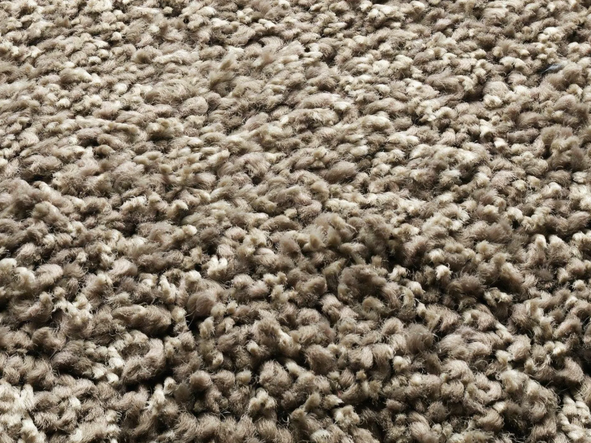 New Teppich PHOENIX h-braun Langflor Teppiche