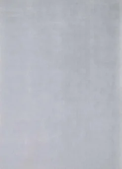 Teppich Soft Touch silver Langflor Teppiche