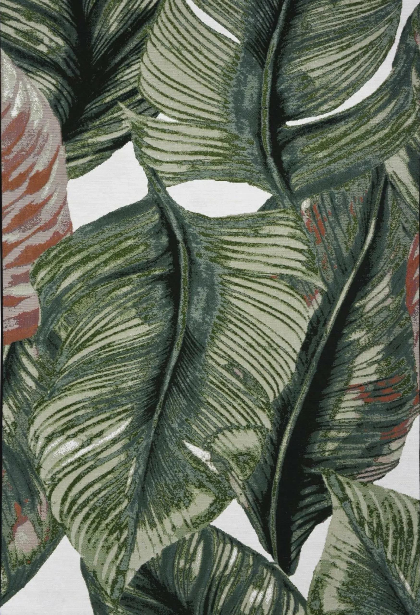 Discount Teppich GARDEN Moderne Teppiche