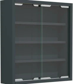 New Vitrine AGISA Vitrinen