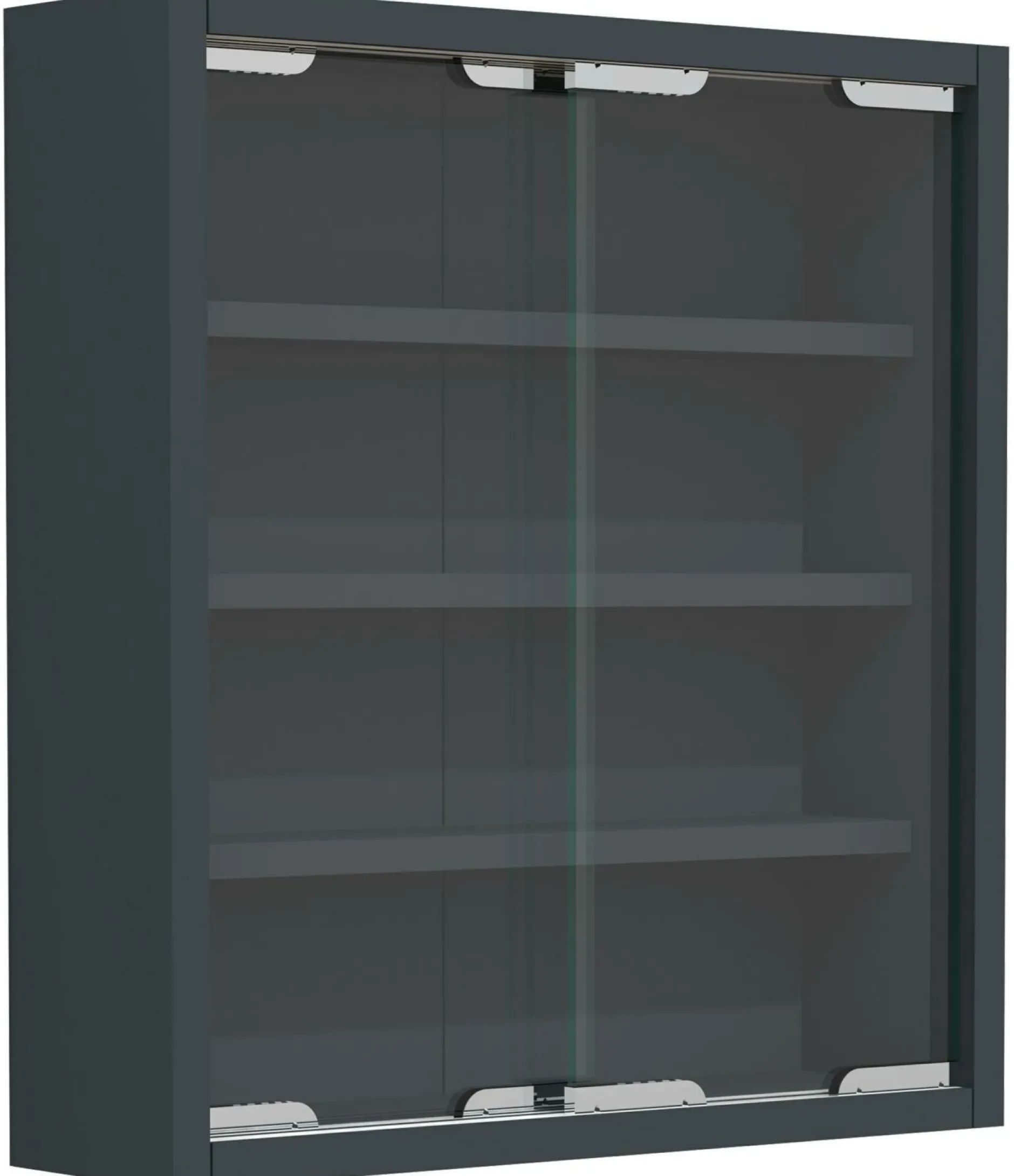 New Vitrine AGISA Vitrinen