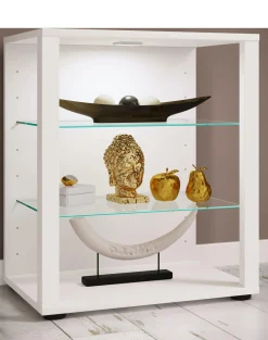 Hot Vitrine GLASOL Vitrinen