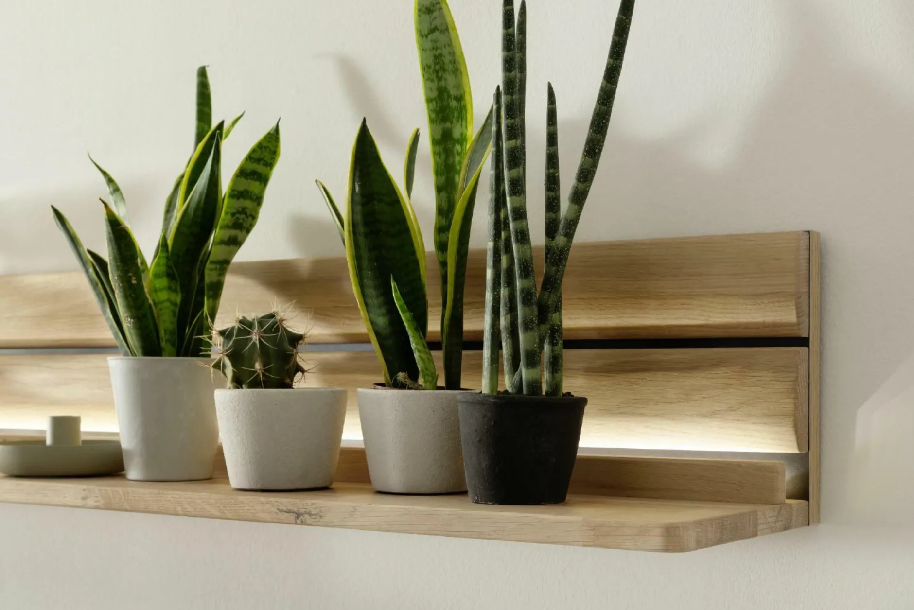 Hot Wandboard GIRONA Wandregale