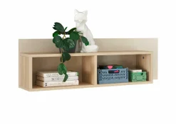 New Wandboard ASSUME Wandregale