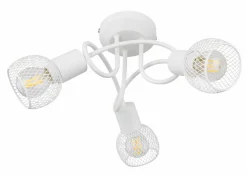 Wand-/Deckenspot FIASTRA Spotserien|Spotserien