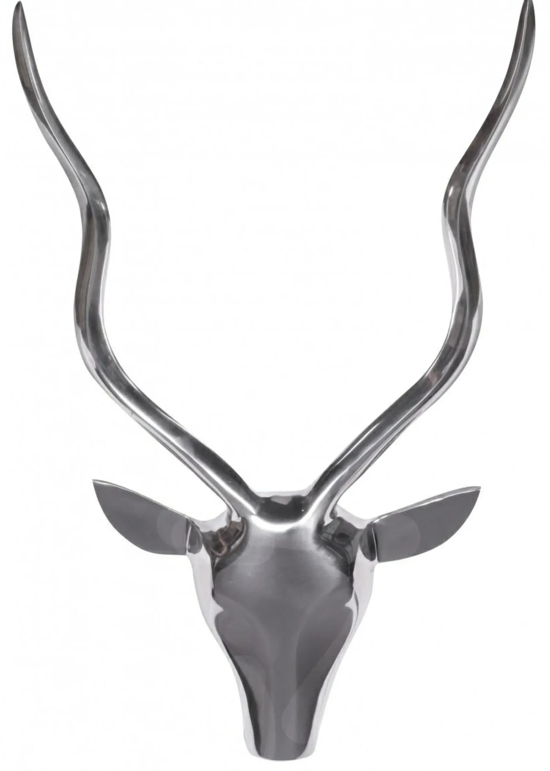 Best Wandobjekt GEWEIH Dekoration