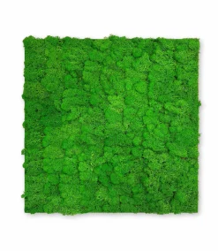 Discount Wandpaneel MODULAR WALL Akustikpaneele|Wandpaneele