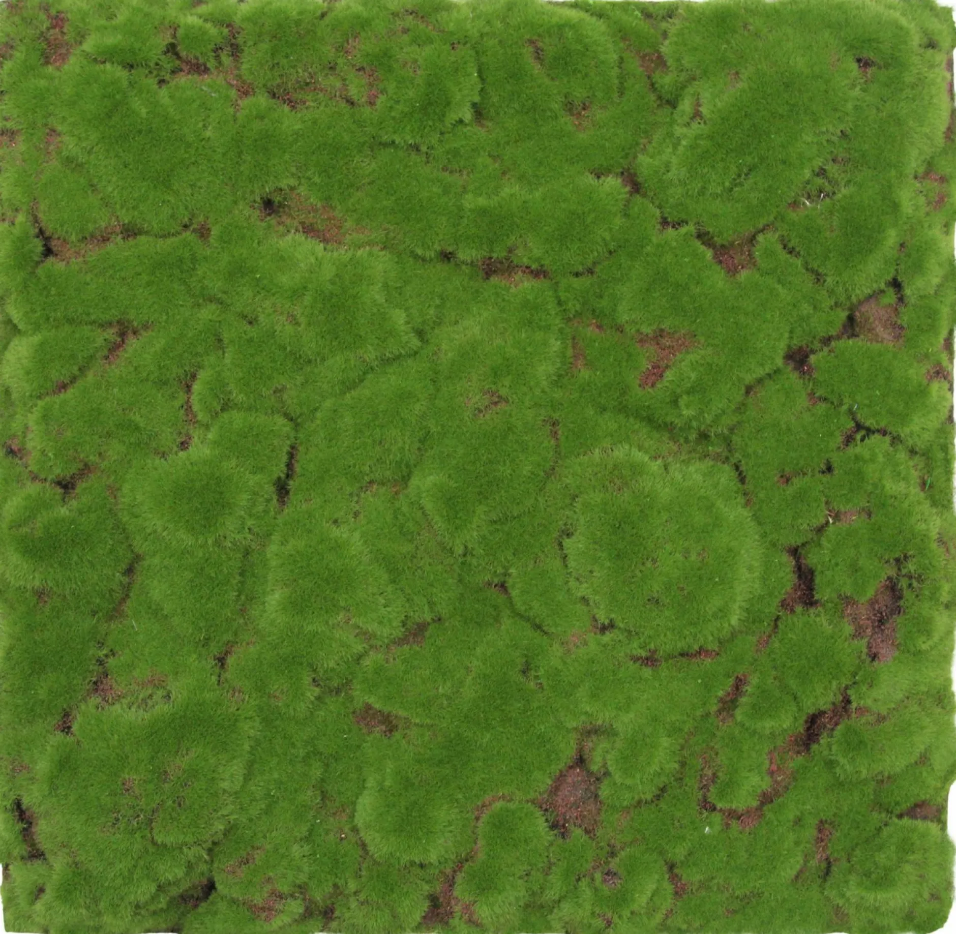 New Wandpaneel MODULAR WALL Akustikpaneele|Wandpaneele