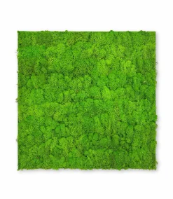 Clearance Wandpaneel MODULAR WALL Akustikpaneele|Wandpaneele