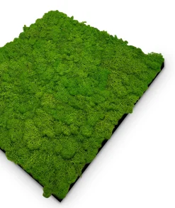 Clearance Wandpaneel MODULAR WALL Akustikpaneele|Wandpaneele