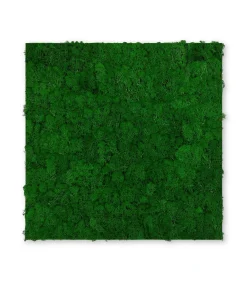 Hot Wandpaneel MODULAR WALL Akustikpaneele|Wandpaneele