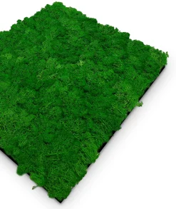 Hot Wandpaneel MODULAR WALL Akustikpaneele|Wandpaneele