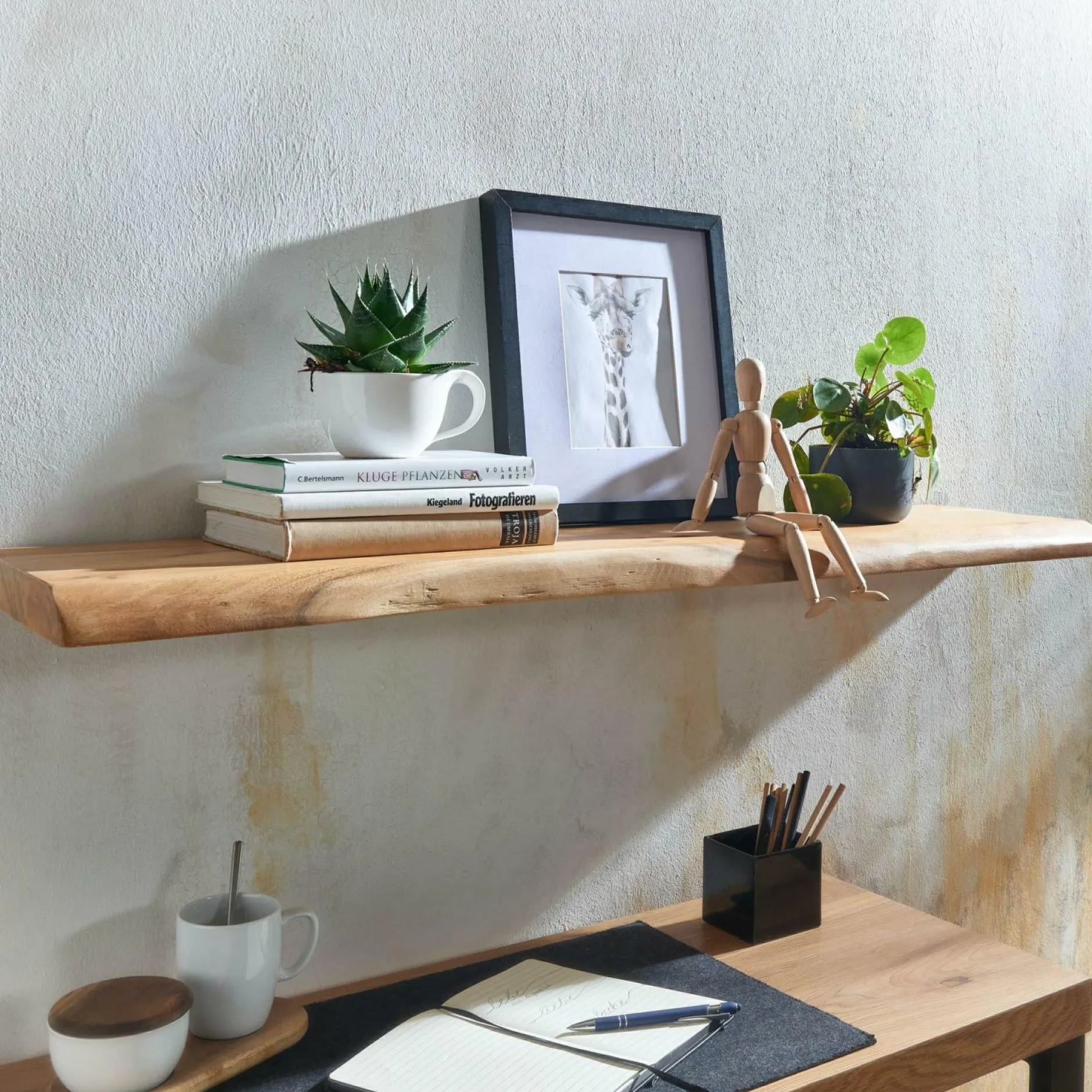 Clearance Wandregal Wandregale