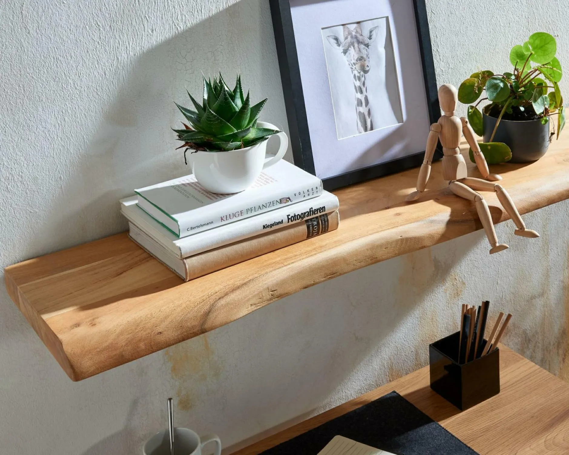 Clearance Wandregal Wandregale