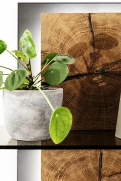 Online Wandregal ASSINI Wandregale