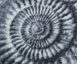 New WC-Vorlage AMMONA Wc-Deckel & Vorlagen|Badematten