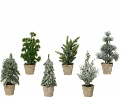 Sale Weihnachtsbaum im Topf Weihnachtsbäume